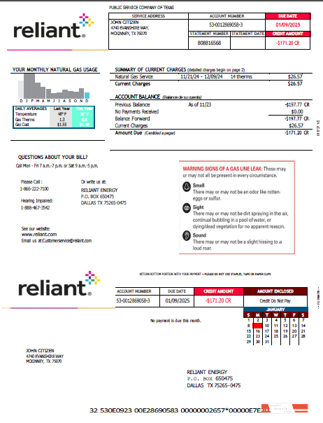 USA Reliant Energy utility bill template in Word and PDF formats